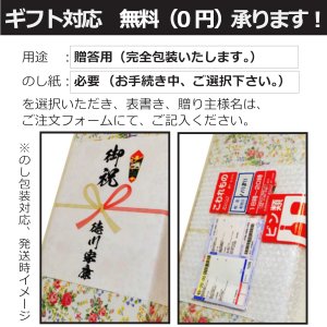 画像2: キリン　一番搾り　糖質ゼロ　350ml缶1ケース（24本入）