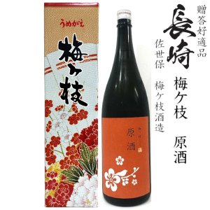 画像1: 梅ヶ枝 原酒 1800ml瓶[長崎県：梅ケ枝酒造]